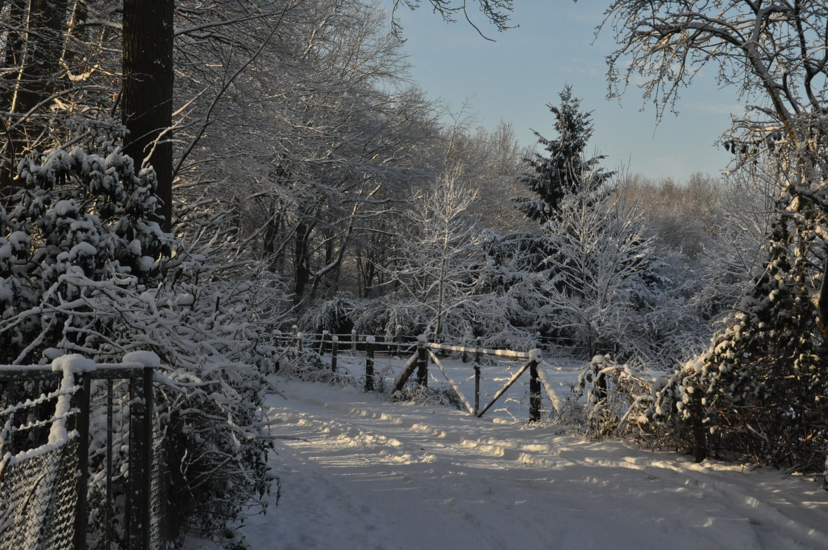 Winter Gelsenkirchen