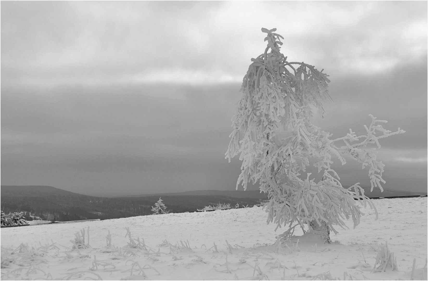 Winter - Gestalten