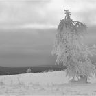 Winter - Gestalten