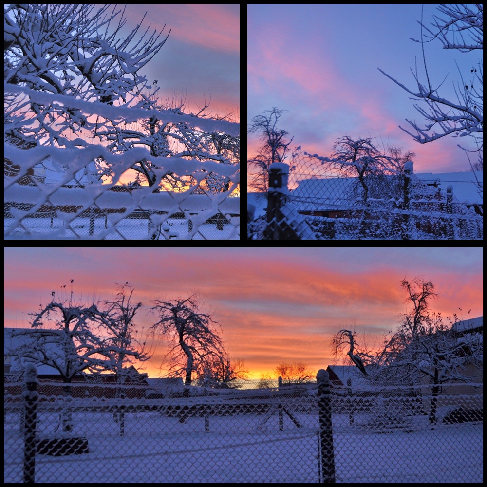 winter glow over the fences