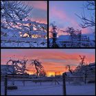 winter glow over the fences