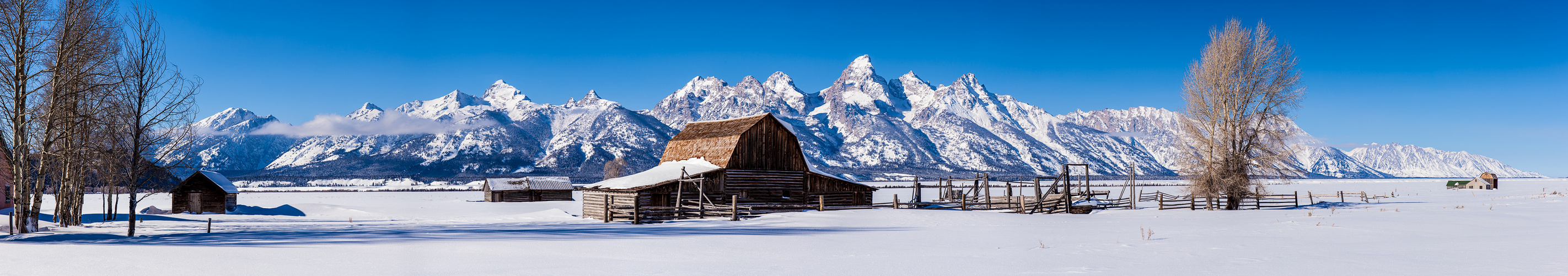 Winter @ Grand Teton National Park