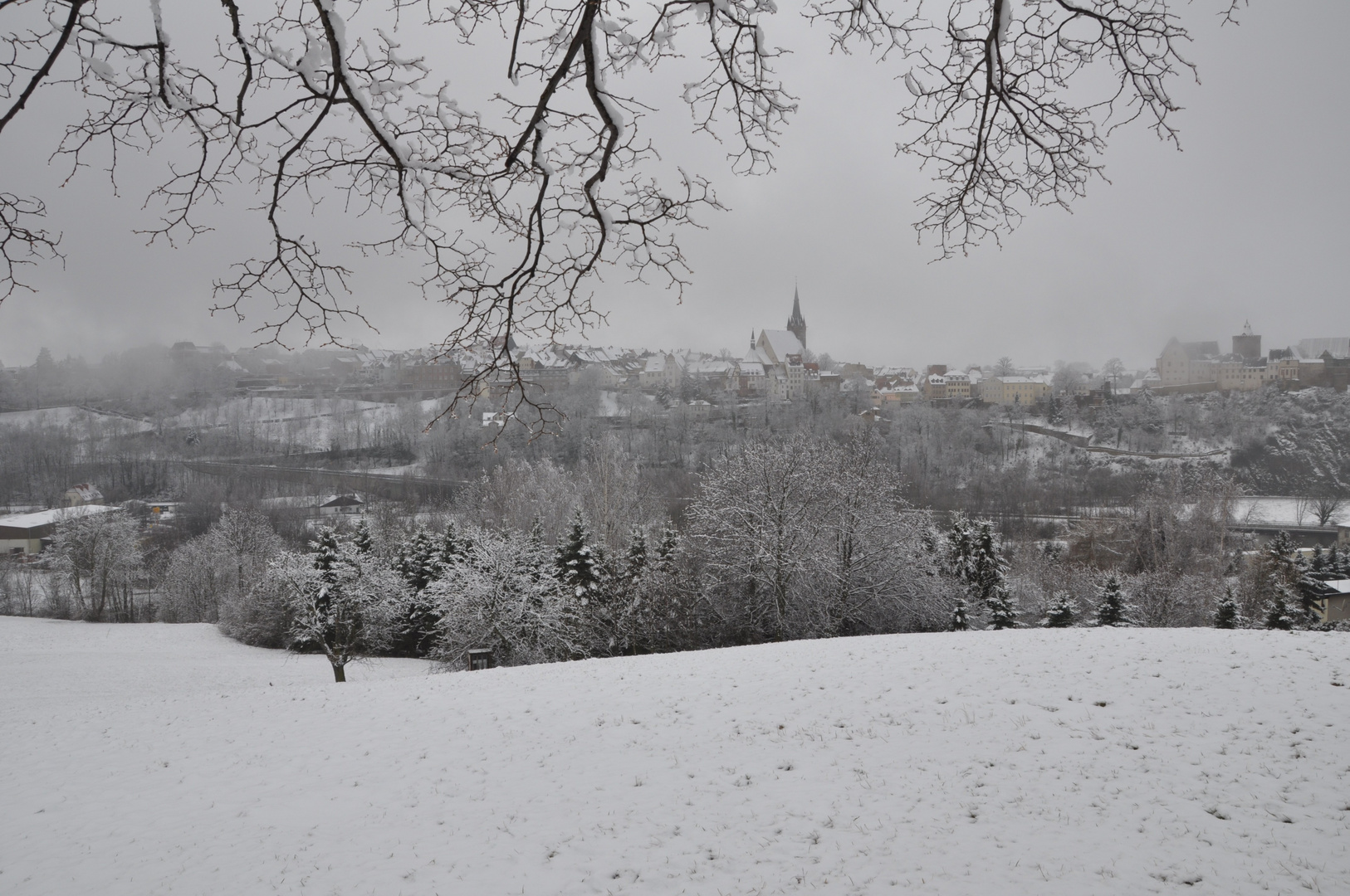 Winter "grau in grau"