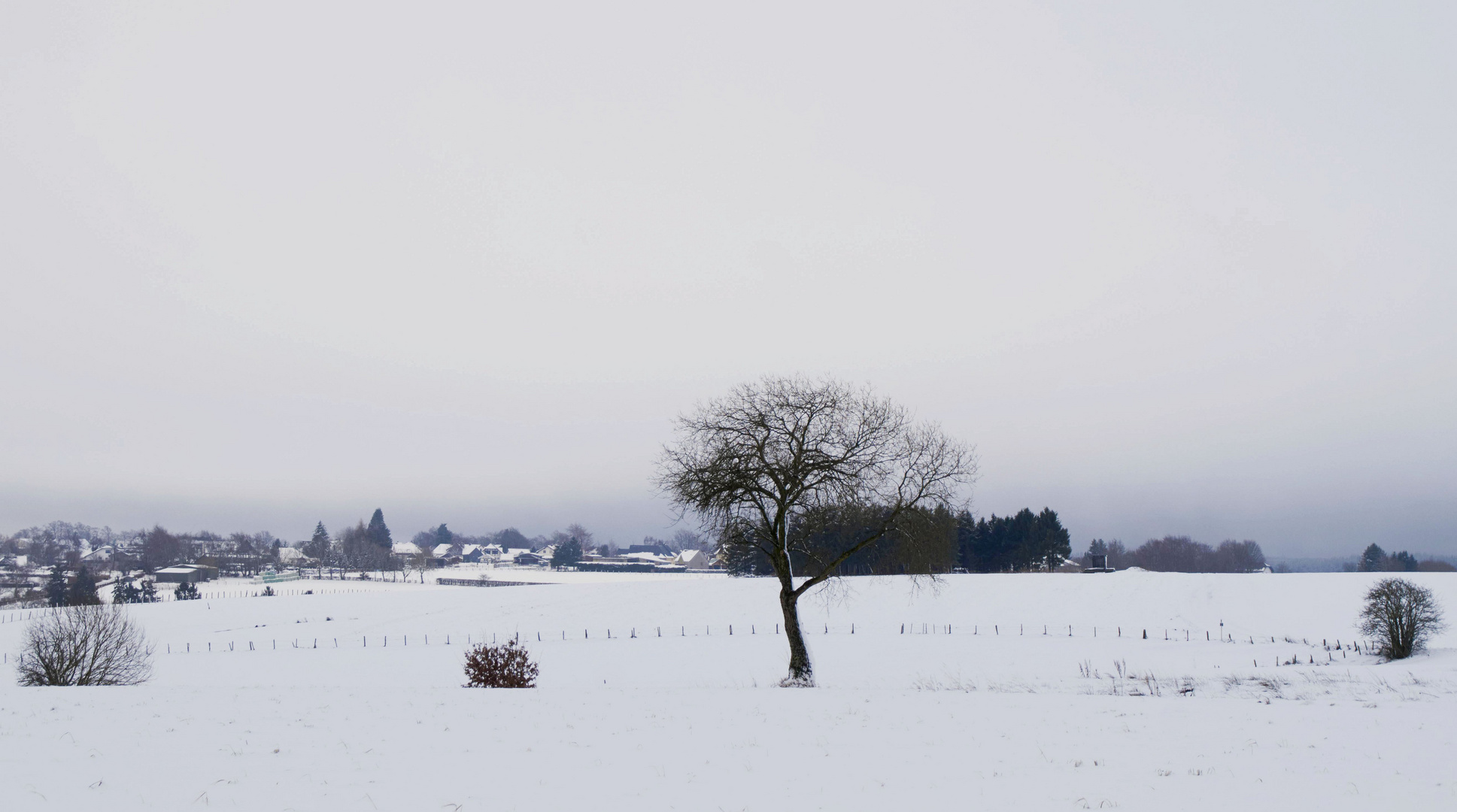 Winter, grau-weiß 2