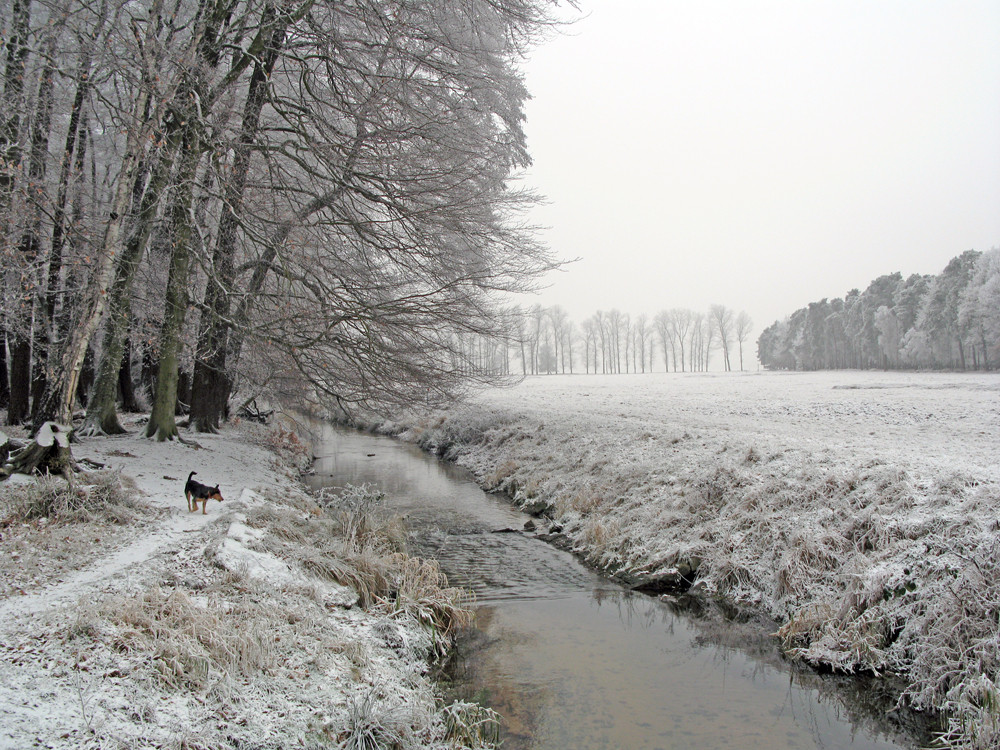 Winter @ Gundbach in Walldorf