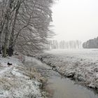 Winter @ Gundbach in Walldorf