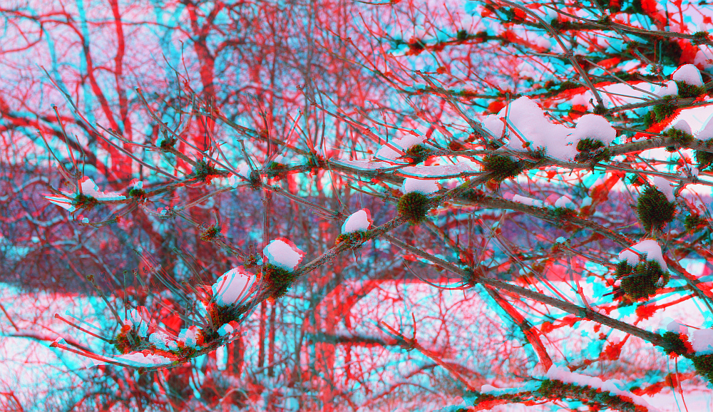 Winter halt ;-) 01 -3D-