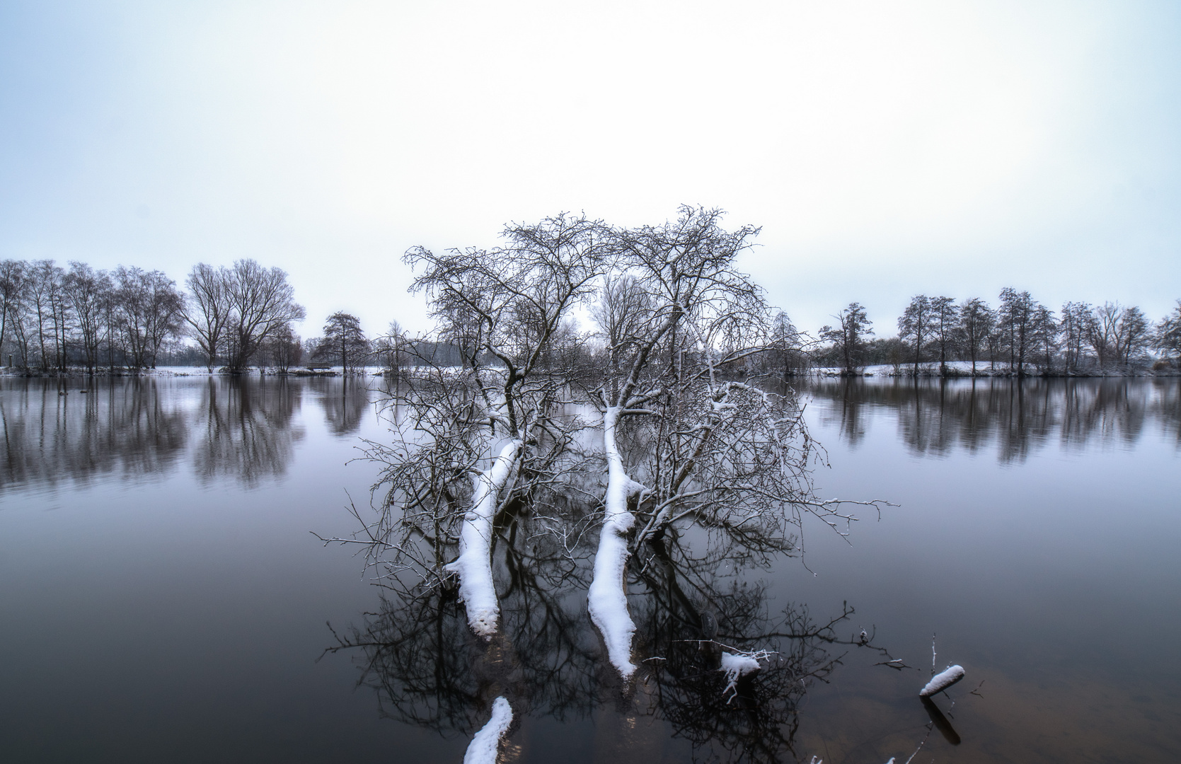 Winter Hasport