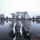 Winter Hasport