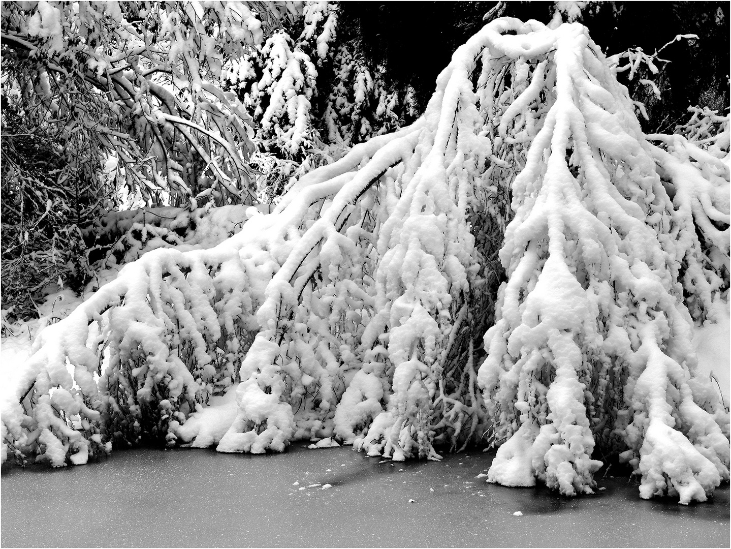 Winter hat viele Gesichter