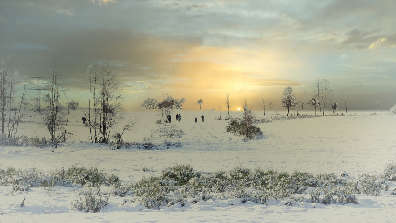 Winter-Heide
