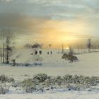 Winter-Heide