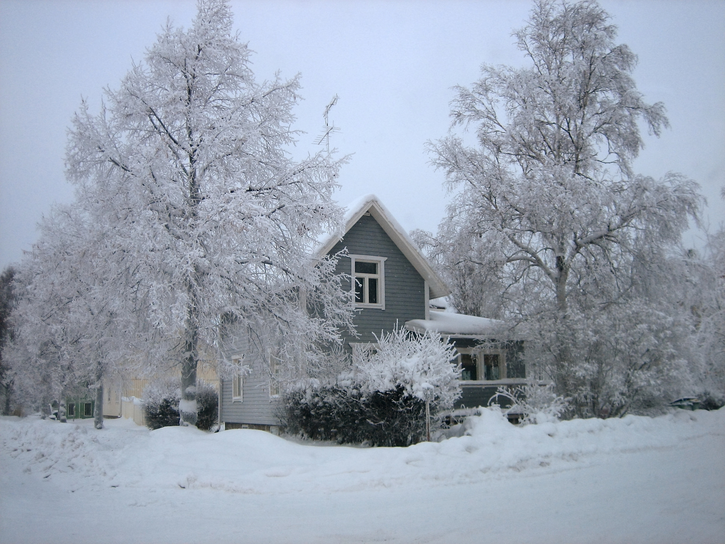 Winter Heim