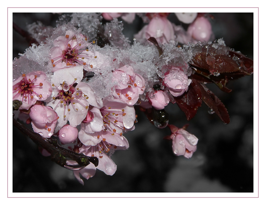 Winter heiratet Frühling mit selbstkreiertem Brautstrauß