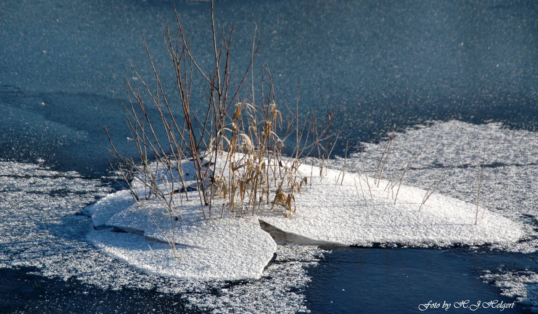 Winter-Herz