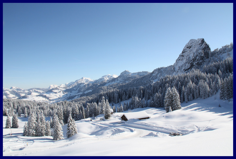 Winter! Herzlich willkommen zurück! 2