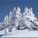 Winter! Herzlich willkommen zurück!