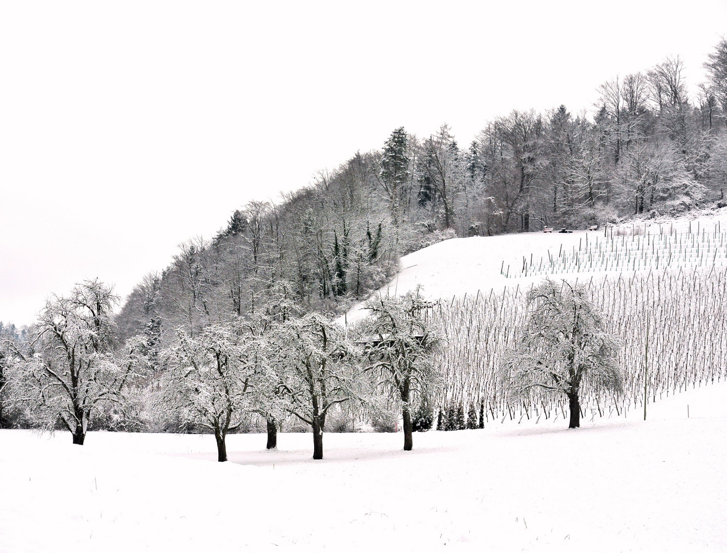 Winter heute