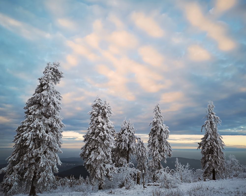 Winter - Heute auf dem Großen Feldberg