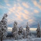 Winter - Heute auf dem Großen Feldberg