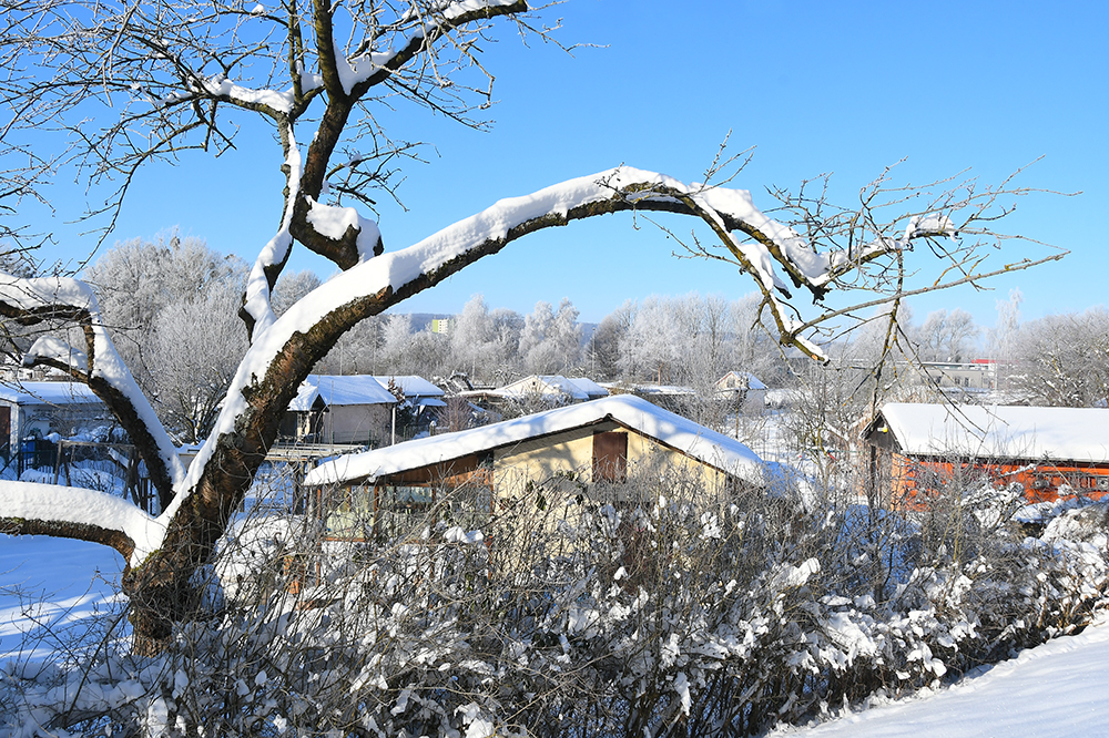 Winter Hi Innerste Gartenkolonie Hohnsen 