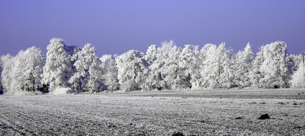 Winter hier im Norden 2