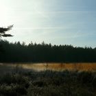 Winter hike on the heathland (1)