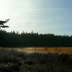 Winter hike on the heathland (1)