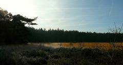 Winter hike on the heathland (1)