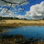 Winter hike on the heathland (10)