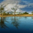 Winter hike on the heathland (11)