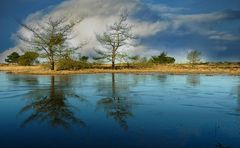 Winter hike on the heathland (11)