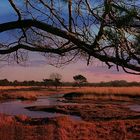 Winter hike on the heathland (12)