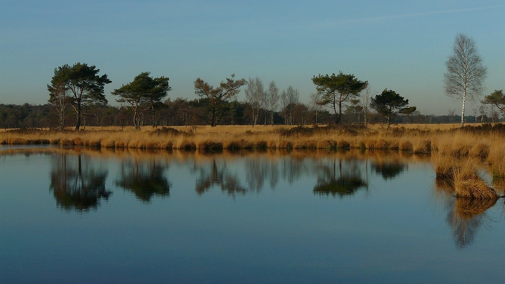 Winter hike on the heathland (3)