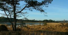 Winter hike on the heathland (7)