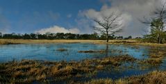 Winter hike on the heathland (9)