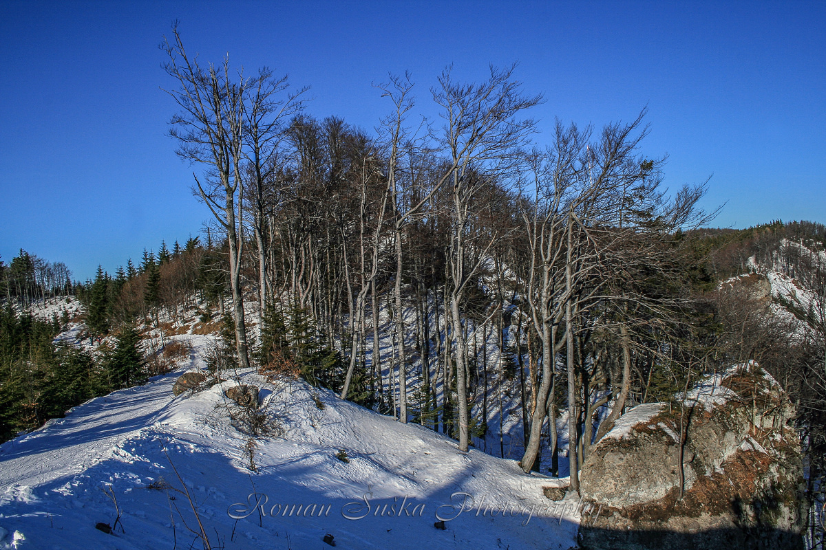 Winter hills - Slovensko