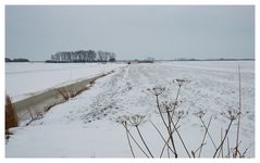 Winter hinter dem Deich I