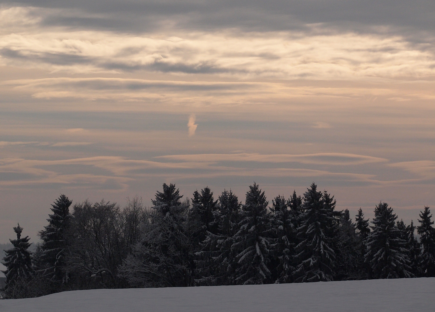 Winter hinter dem Weiler Schönenbuch