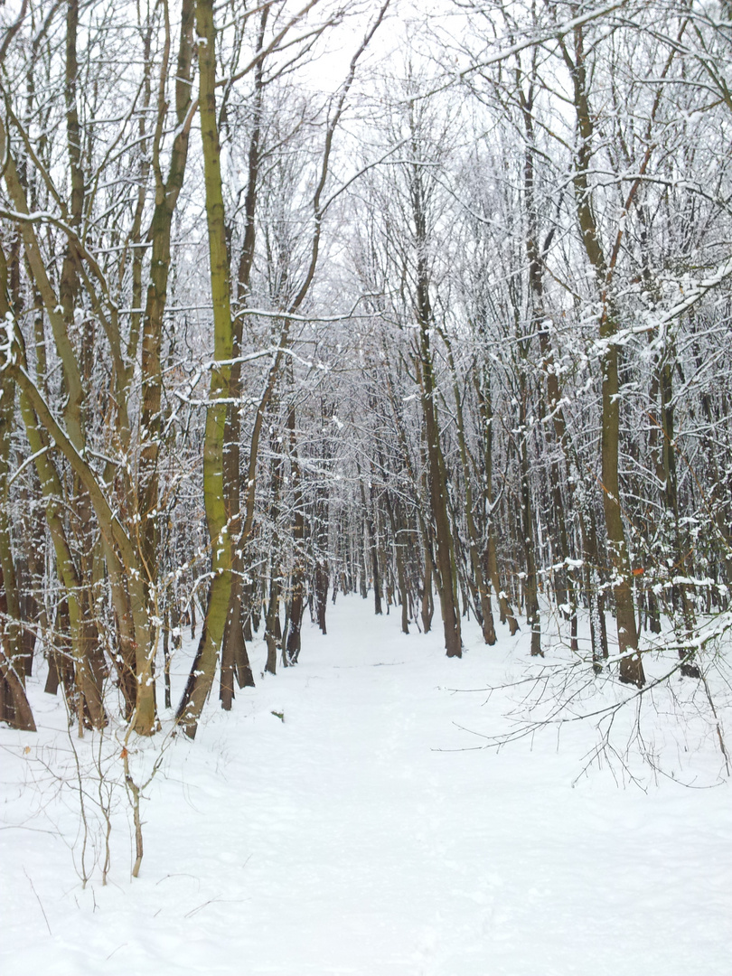 winter hinter den häusern