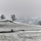 Winter hinter Tennenmoos