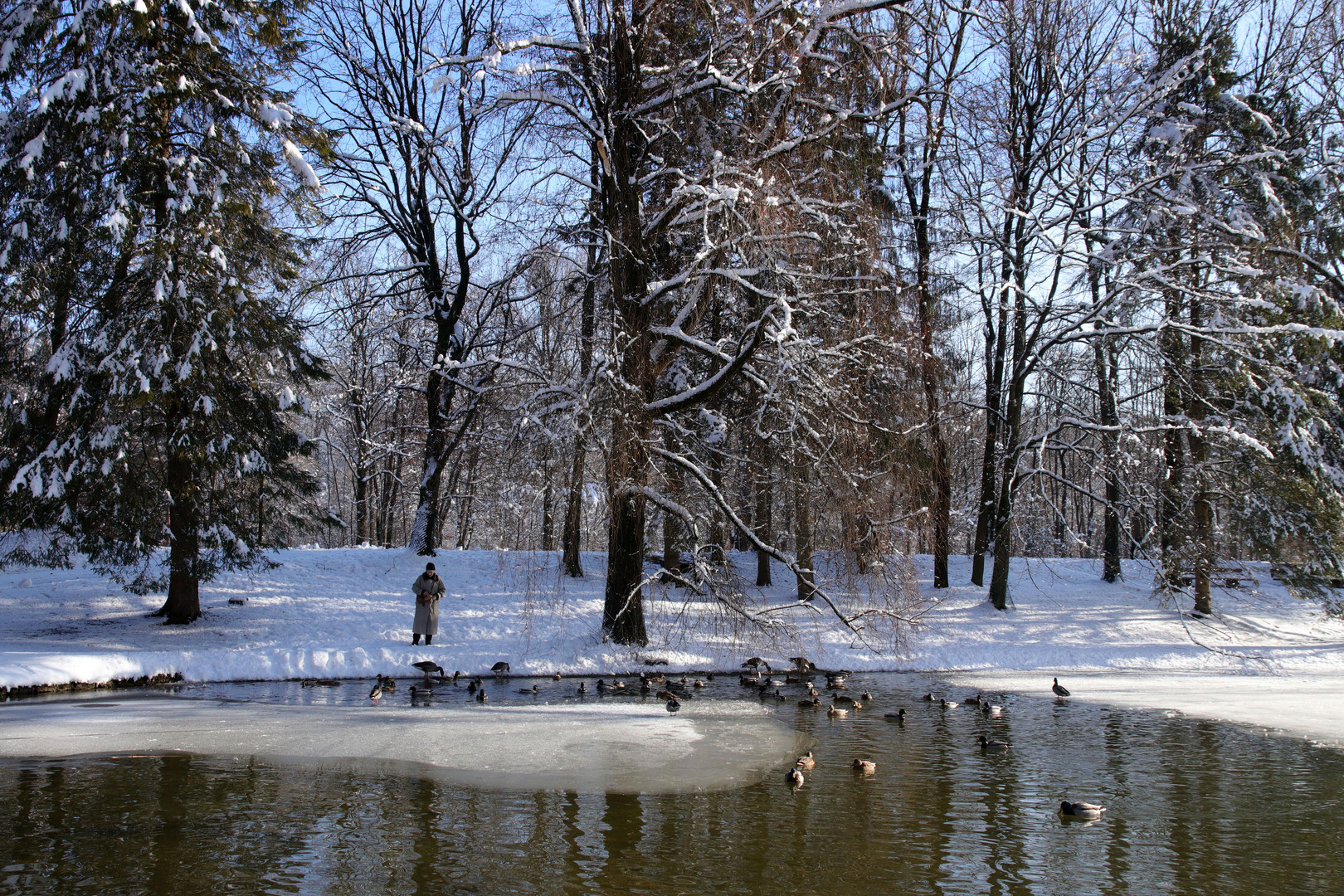 Winter-Hinterbrühler See