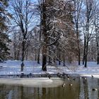 Winter-Hinterbrühler See