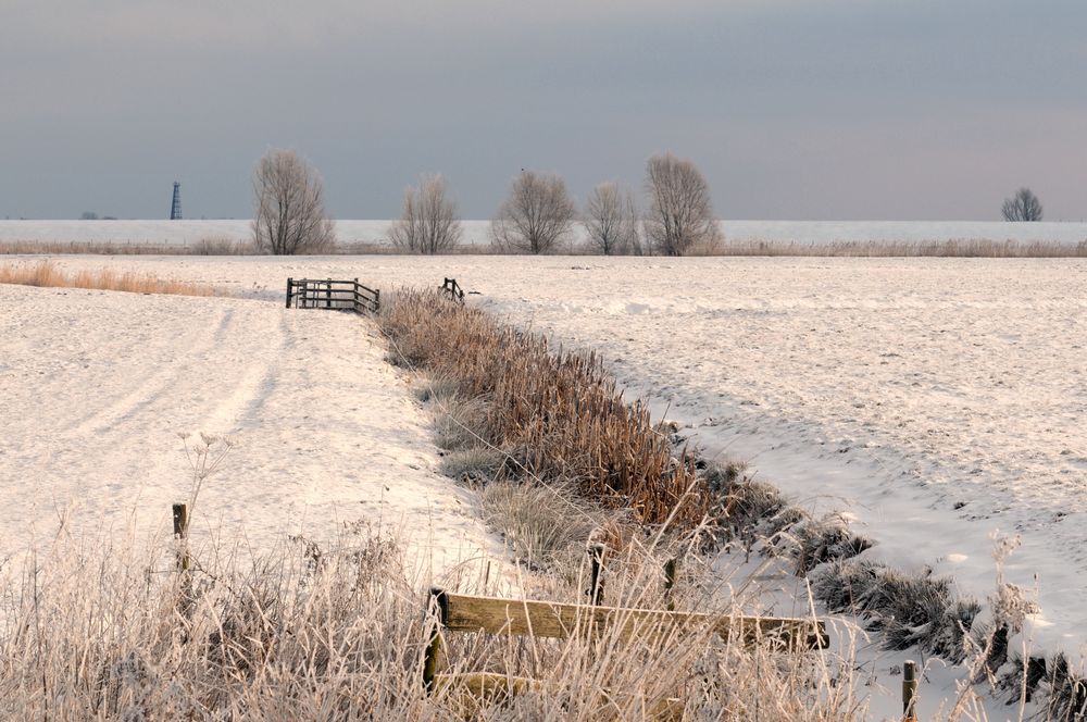 Winter hinter´m Deich...