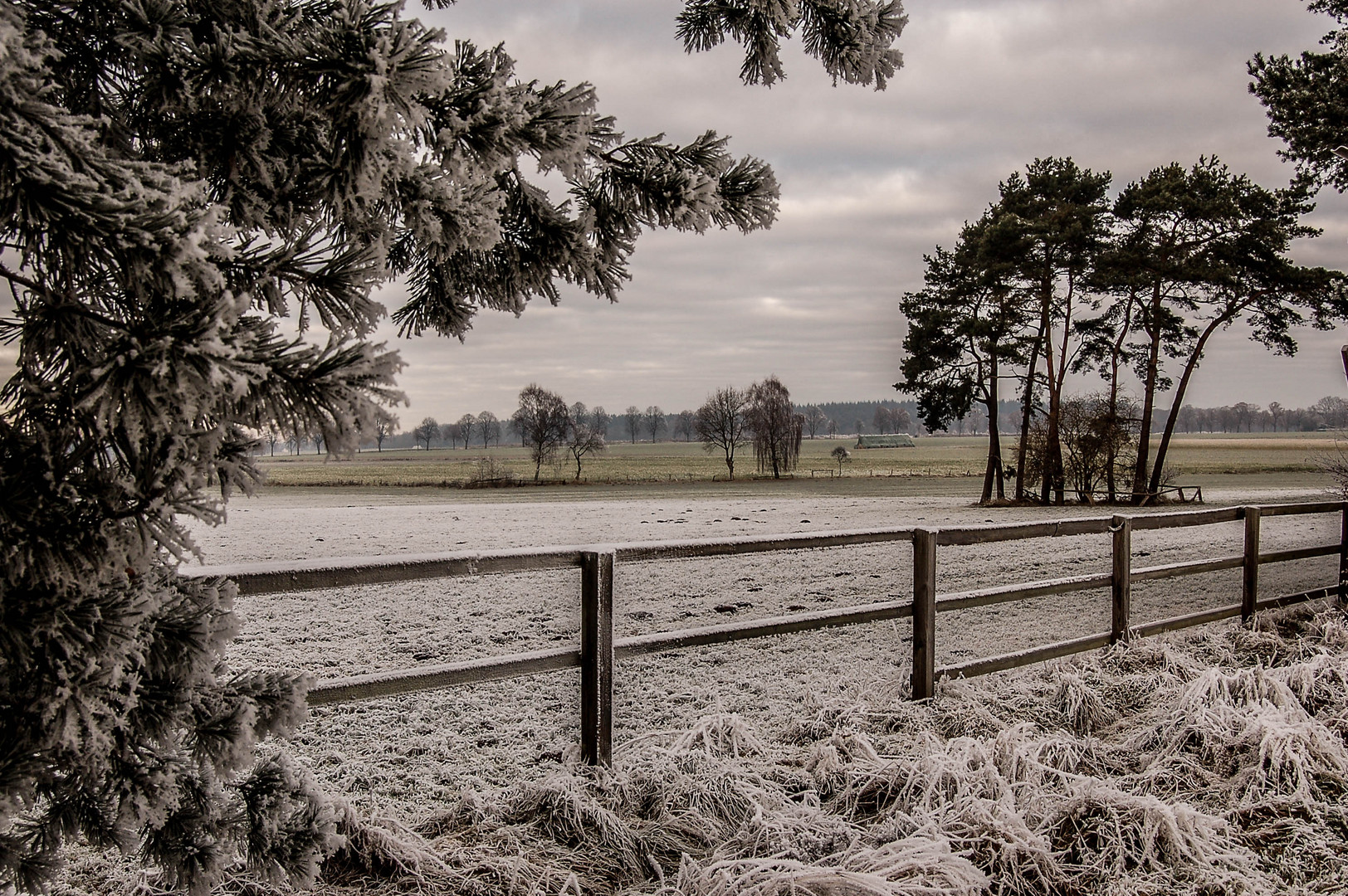 Winter hinter`m Zaun