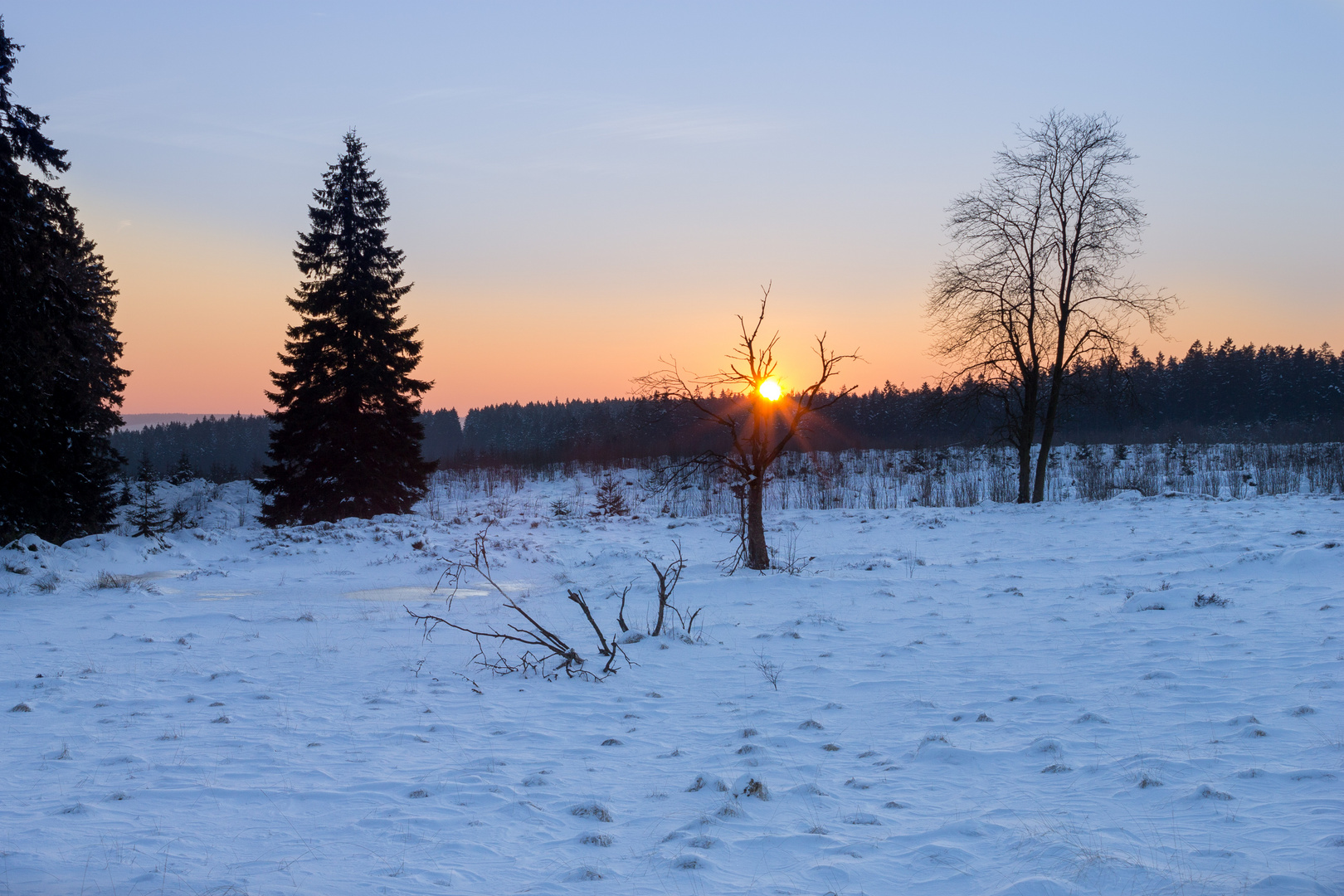 Winter Hohes Venn