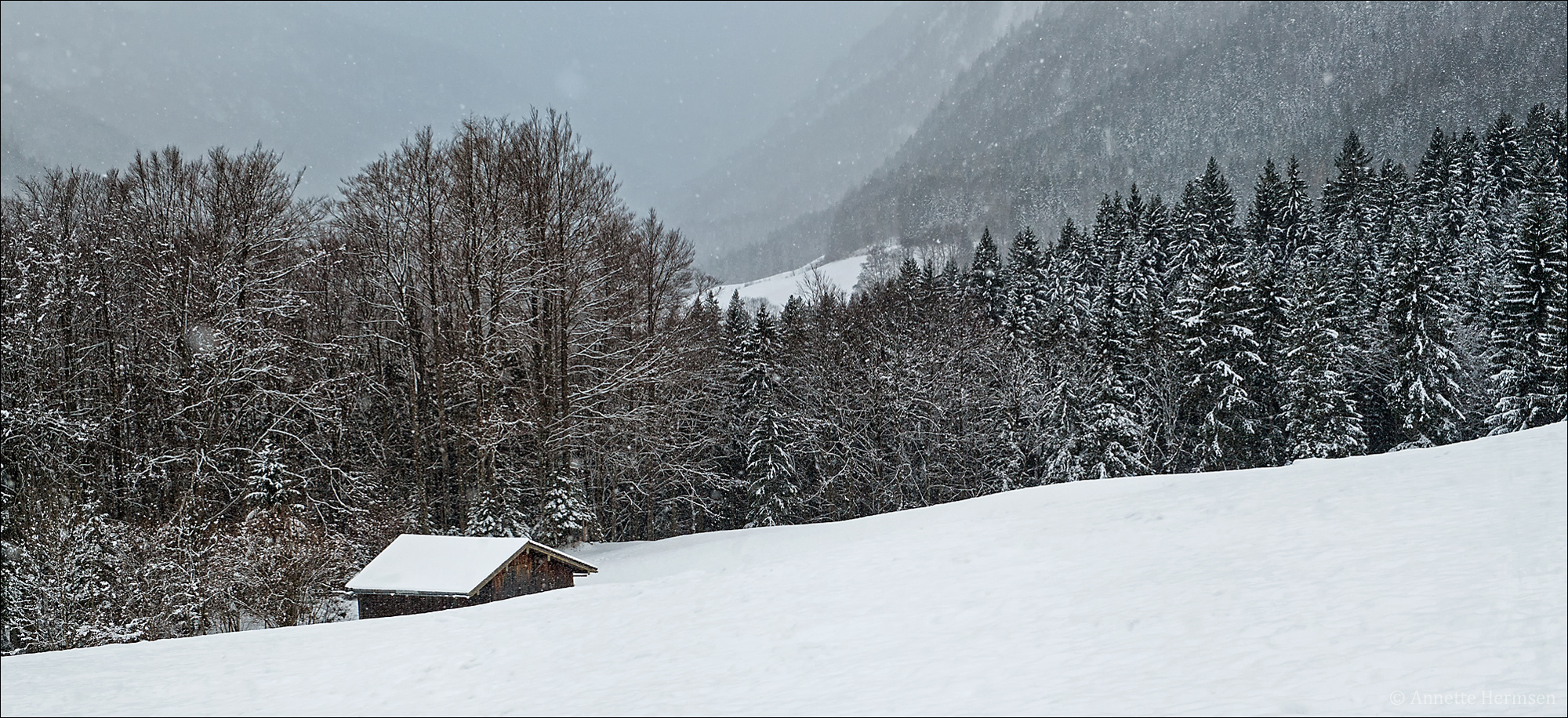 Winter - Hommage an die schönste aller Jahreszeiten [1]