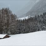 Winter - Hommage an die schönste aller Jahreszeiten [1]