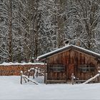 Winter - Hommage an die Schönste aller Jahreszeiten [4]