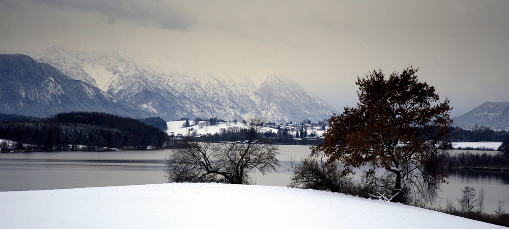 Winter Hues - Wintertöne